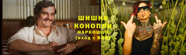 дмт Осинники