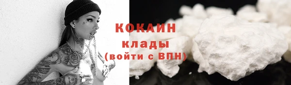 дмт Осинники