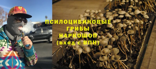 дмт Осинники