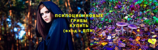 экстази Осташков