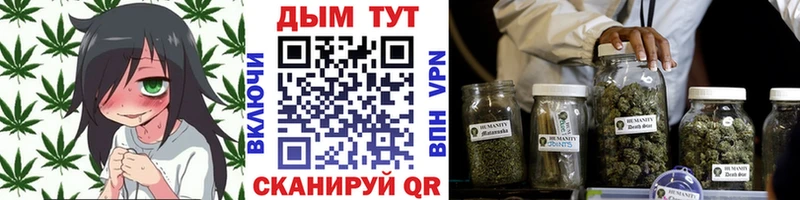 Конопля SATIVA & INDICA  наркота  ОМГ ОМГ tor  Поронайск 